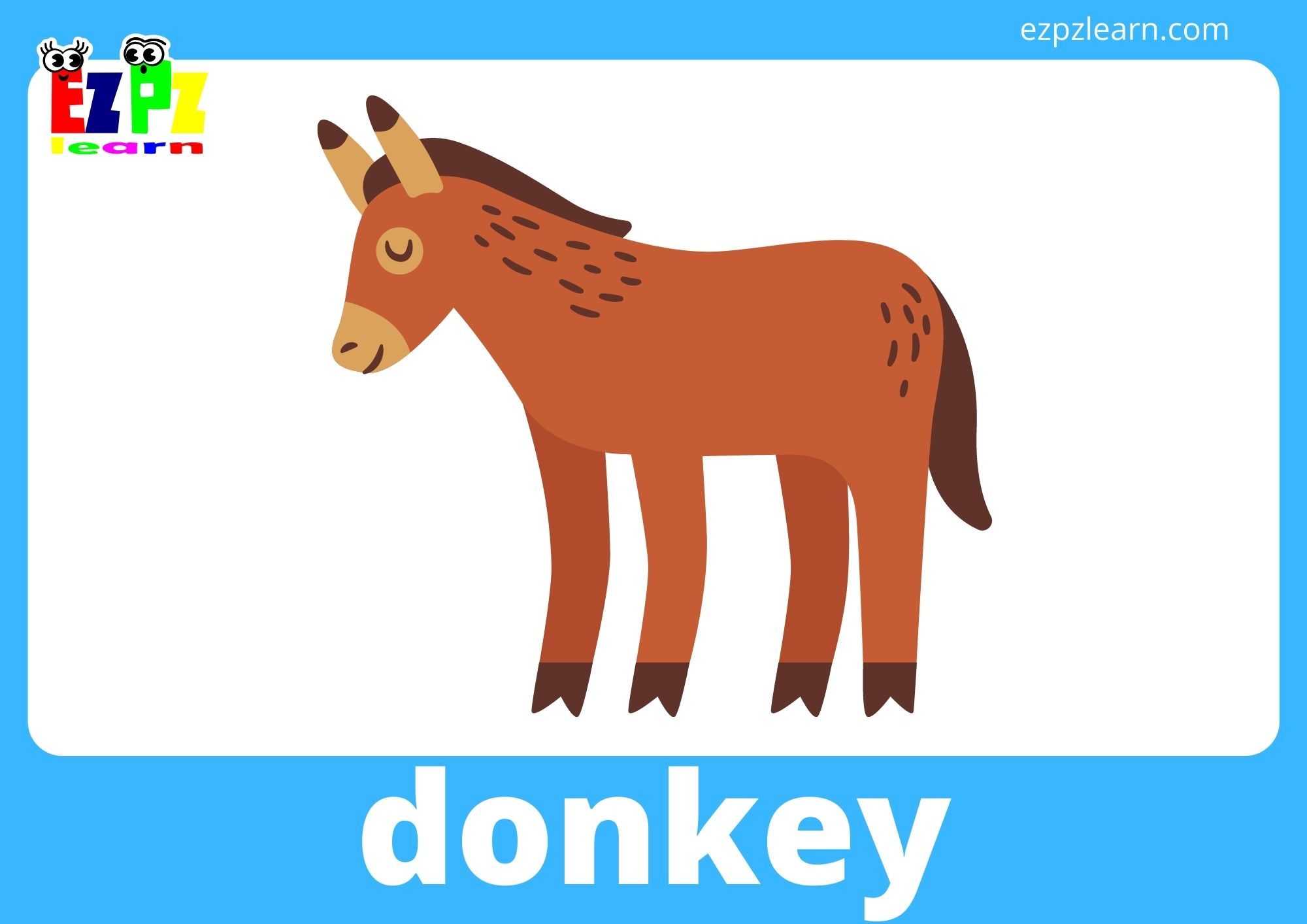 donkey